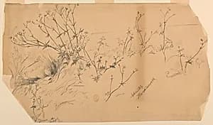Nature Study by Walter Shirlaw, American, b. Scotland, 1838–1909