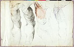 Nude Studies by Solon H. Borglum