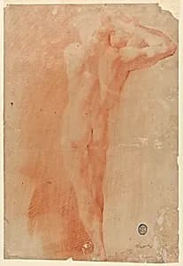 Nudes by Manni, Italian