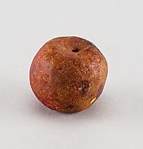 Ornament, Christmas tree by Unknown
