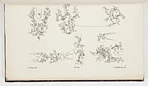 Ornament Designs