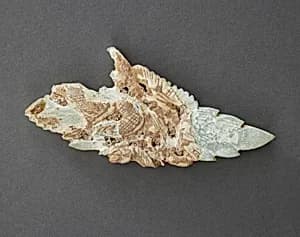 Ornament by Unidentified