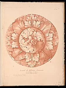 Ornamental Rosette Design