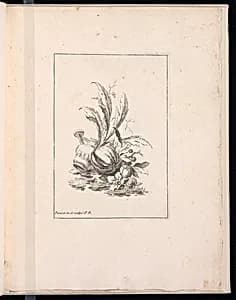 Ornamental Vignette by Robert Menge Pariset, French, active 1732 – 1762