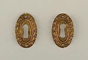 Pair of escutcheons by Unknown