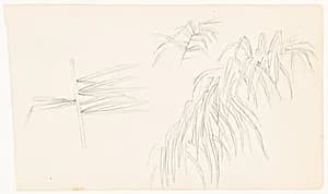 Palm Fronds, Ecuador by Frederic Edwin Church, American, 1826–1900