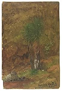 Palm Trees, Jamaica by Frederic Edwin Church, American, 1826–1900
