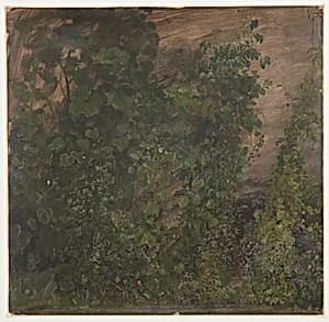 Philodendron Vines, Jamaica by Frederic Edwin Church, American, 1826–1900