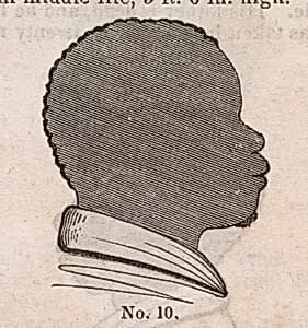 Pie by John Warner Barber, 2 Feb 1798 - 22 Jun 1885