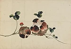 Pomegranates by Katsushika Hokusai 葛飾北斎 (1760-1849)