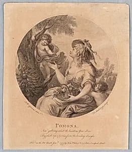 Pomona by Francesco Bartolozzi, Italian, active England, 1727–1815