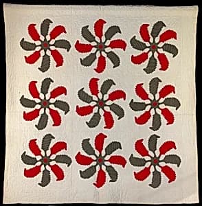 Princess Feather by Unidentified (American)