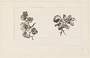 Print by Jean-Baptiste Pillement, French, 1728–1808