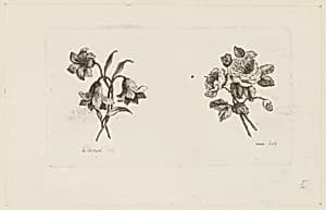 Print by Jean-Baptiste Pillement, French, 1728–1808