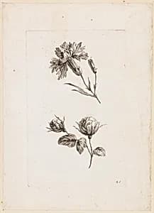 Print by Jean-Baptiste Pillement, French, 1728–1808