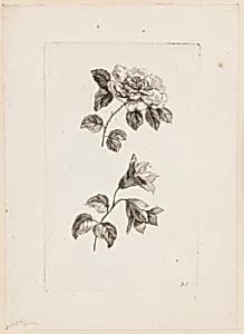 Print by Jean-Baptiste Pillement, French, 1728–1808