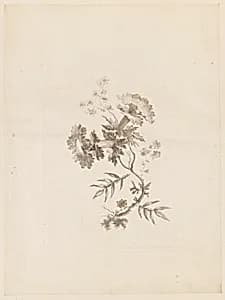 Print by Jean-Baptiste Pillement, French, 1728–1808
