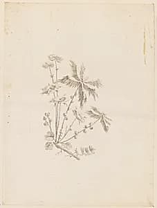 Print by Jean-Baptiste Pillement, French, 1728–1808