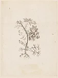 Print by Jean-Baptiste Pillement, French, 1728–1808