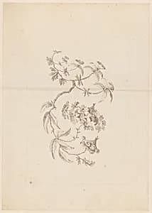 Print by Jean-Baptiste Pillement, French, 1728–1808