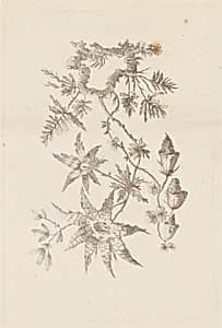 Print by Jean-Baptiste Pillement, French, 1728–1808