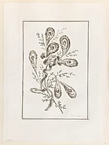 Print by Jean-Baptiste Pillement, French, 1728–1808