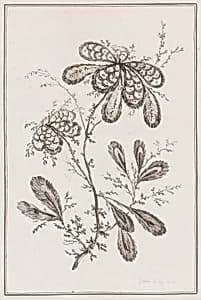 Print by Jean-Baptiste Pillement, French, 1728–1808