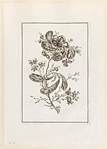 Print by Jean-Baptiste Pillement, French, 1728–1808