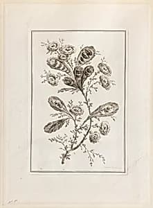 Print by Jean-Baptiste Pillement, French, 1728–1808