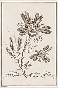 Print by Jean-Baptiste Pillement, French, 1728–1808