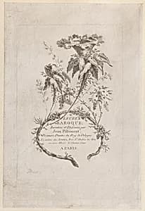 Print by Jean-Baptiste Pillement, French, 1728–1808