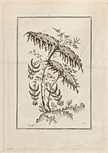 Print by Jean-Baptiste Pillement, French, 1728–1808
