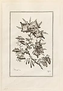 Print by Jean-Baptiste Pillement, French, 1728–1808