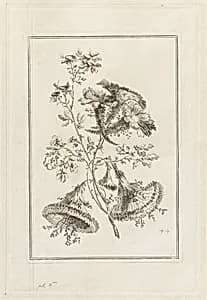 Print by Jean-Baptiste Pillement, French, 1728–1808