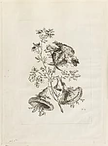 Print by Jean-Baptiste Pillement, French, 1728–1808