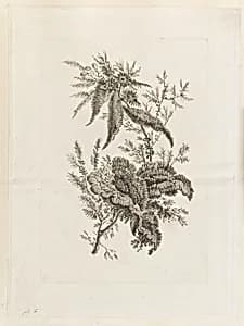 Print by Jean-Baptiste Pillement, French, 1728–1808