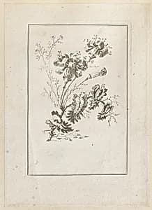 Print by Jean-Baptiste Pillement, French, 1728–1808