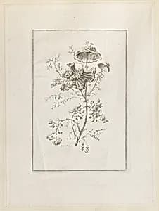 Print by Jean-Baptiste Pillement, French, 1728–1808