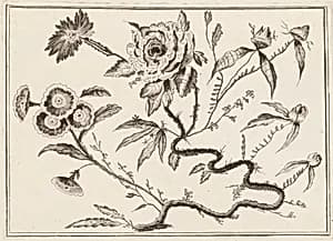Print by Jean-Baptiste Pillement, French, 1728–1808