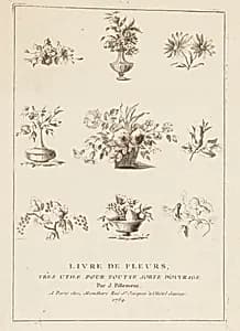 Print by Jean-Baptiste Pillement, French, 1728–1808