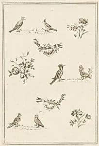 Print by Jean-Baptiste Pillement, French, 1728–1808