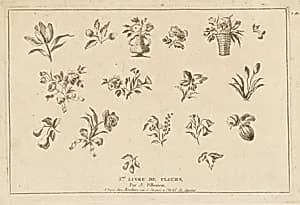 Print by Jean-Baptiste Pillement, French, 1728–1808