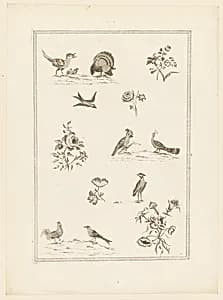 Print by Jean-Baptiste Pillement, French, 1728–1808