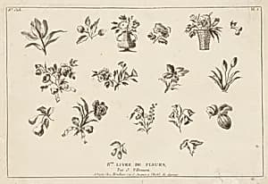 Print by Jean-Baptiste Pillement, French, 1728–1808