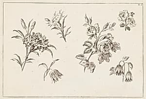 Print by Jean-Baptiste Pillement, French, 1728–1808