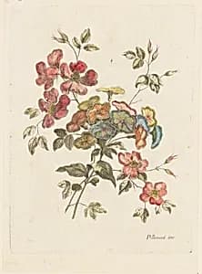 Print by Jean-Baptiste Pillement, French, 1728–1808