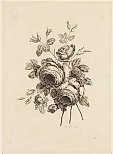 Print by Jean-Baptiste Pillement, French, 1728–1808