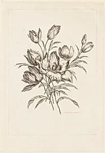 Print by Jean-Baptiste Pillement, French, 1728–1808