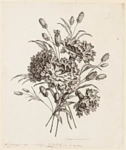Print by Jean-Baptiste Pillement, French, 1728–1808