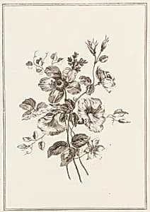 Print by Jean-Baptiste Pillement, French, 1728–1808